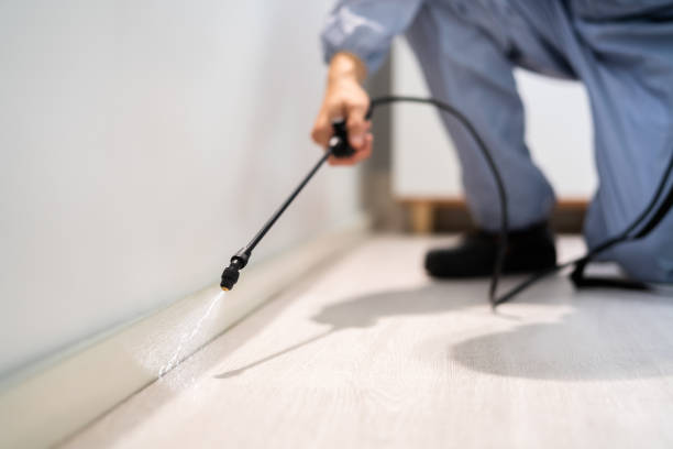 Licensed Mosquito Control service in Denver City, TX - Show Me Pest Control