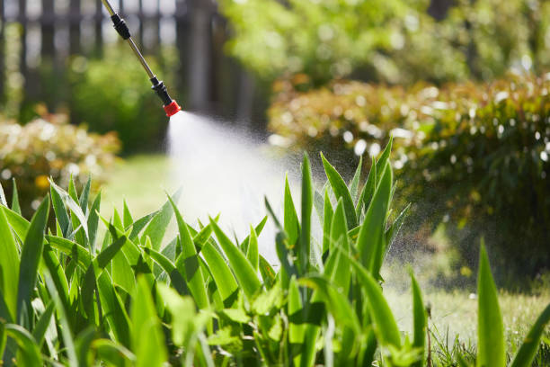 24/7 Emergency Mosquito Control experts in Denver City, TX